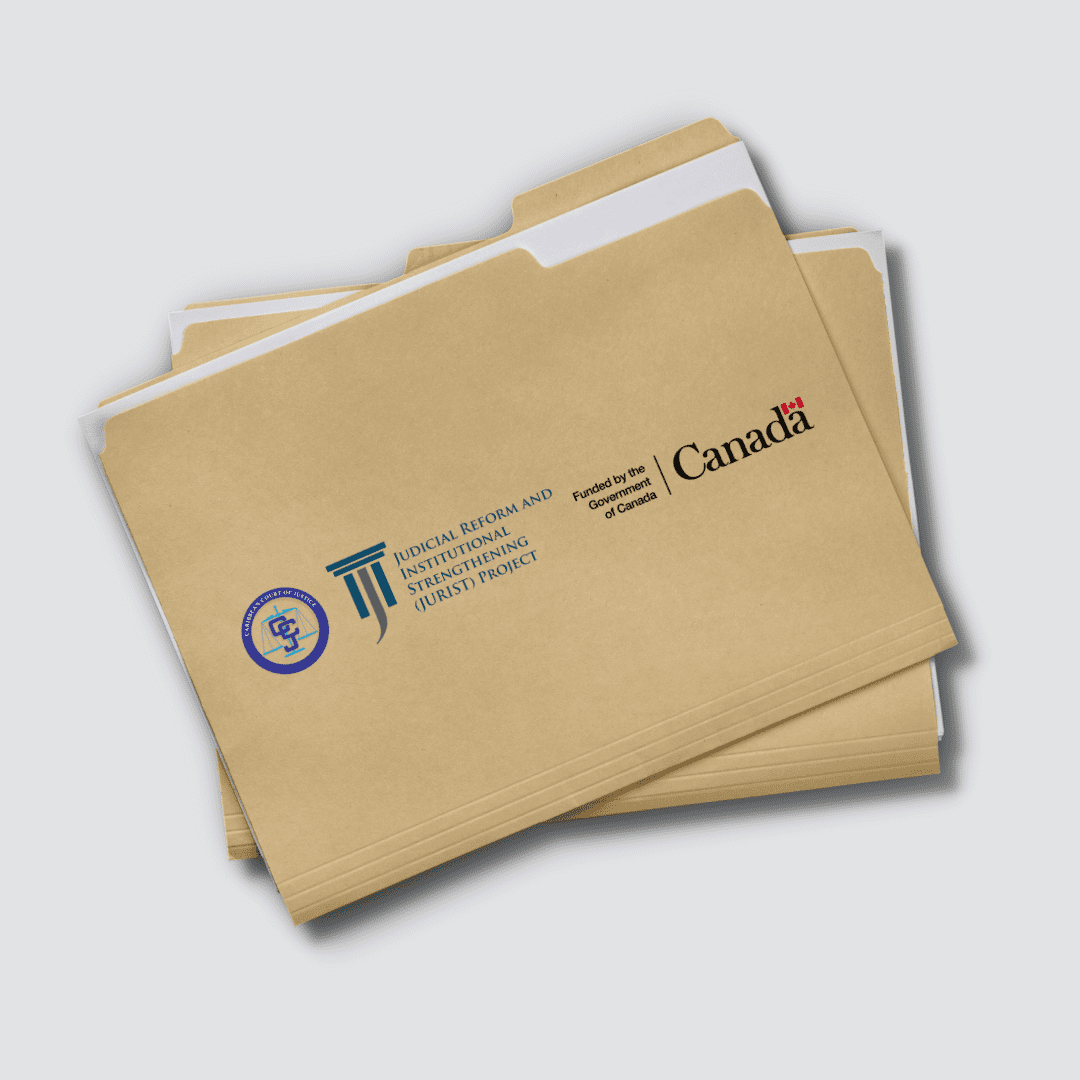 Read more about the article Cohort 2 – Videos